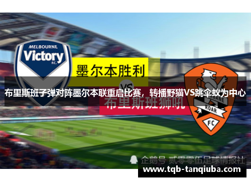 布里斯班子弹对阵墨尔本联重启比赛,转播野猫VS跳伞蚁为中心 布里斯班子弹对阵墨尔本联重启比赛,转播野猫VS跳伞蚁为中心